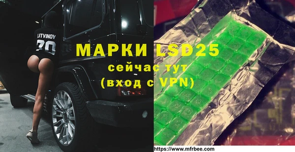 гашик Горнозаводск