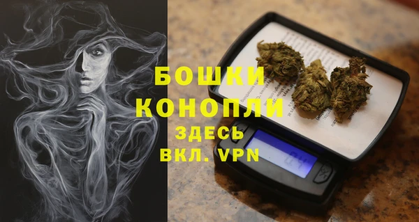 мдпв Горно-Алтайск