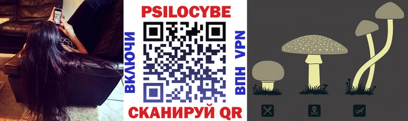 Купить  Ветлуга  Псилоцибиновые грибы Psilocybine cubensis 
